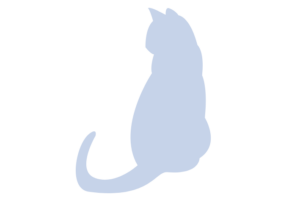 Katzenpsychologe
