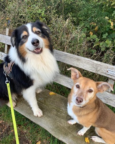 2679bf15-f3bf-49d8-84bc-7a715163e334