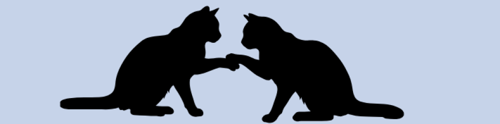 zwei katzen 3